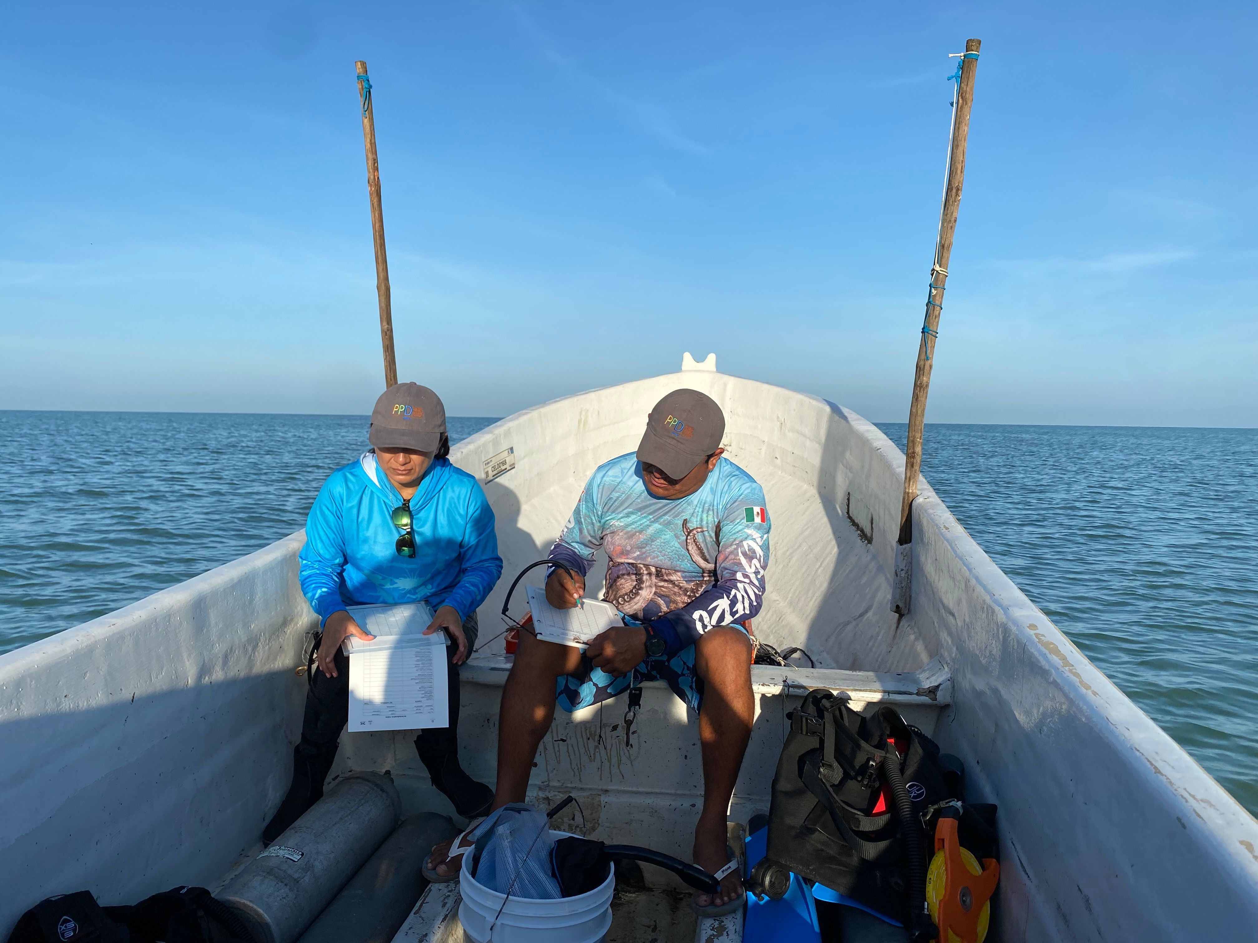 El mar en manos organizadas: cooperativas en México trabajan por la pesca sustentable