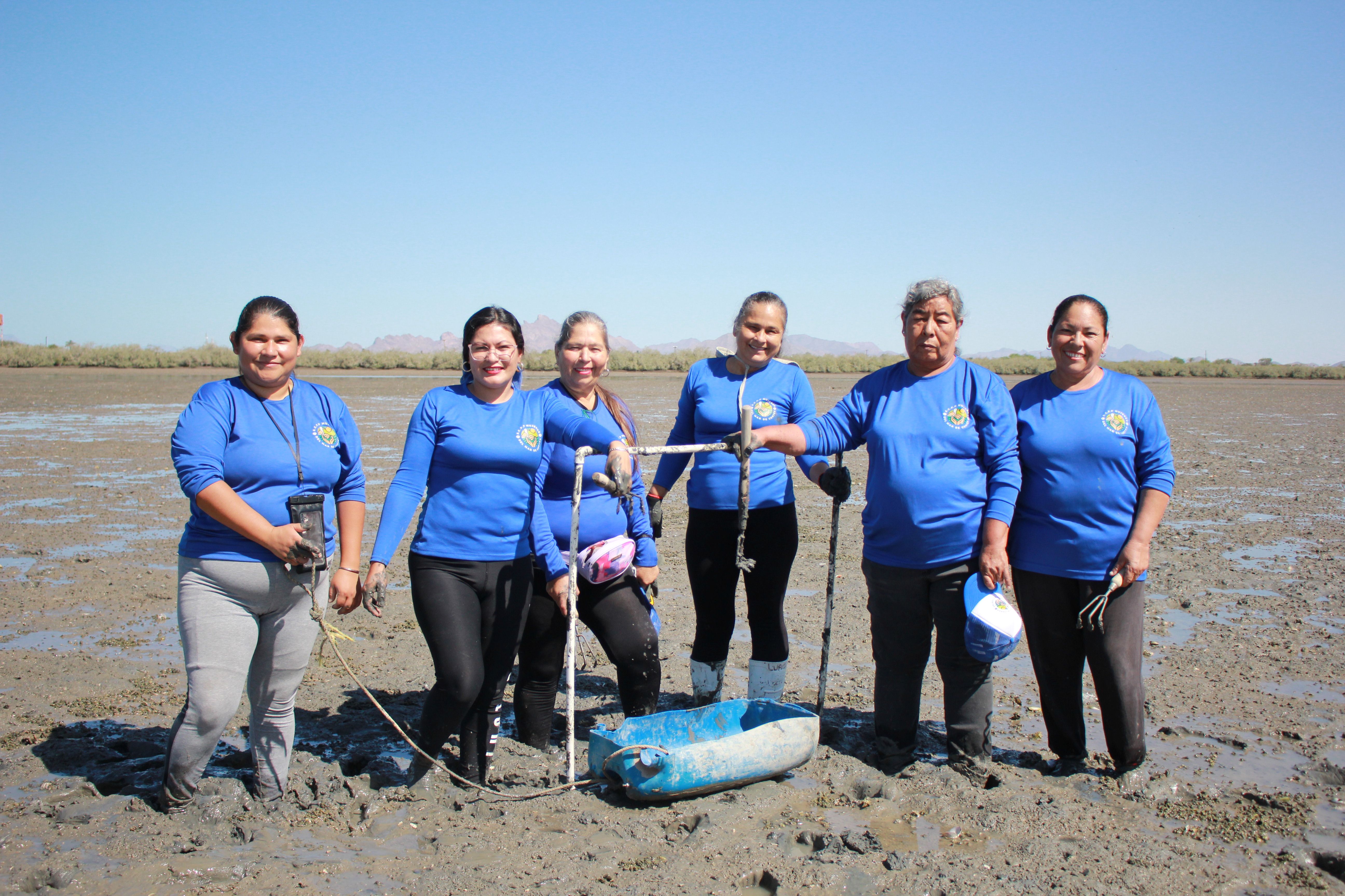 Un grupo de mujeres restaura la almeja arrocera en Bahía de Kino, Sonora