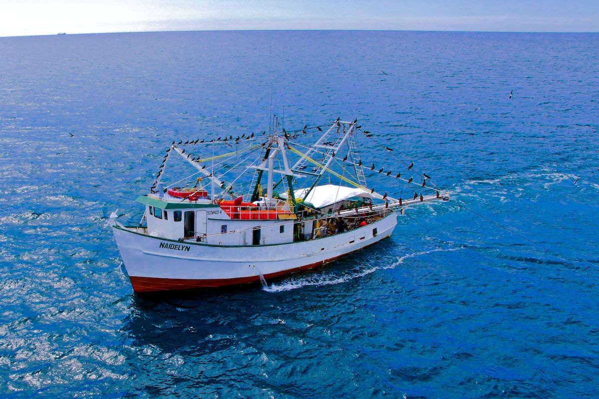Competimos en el Golfo de México con EU pero nuestros costos de pesca son de casi el doble: armador de Campeche 
