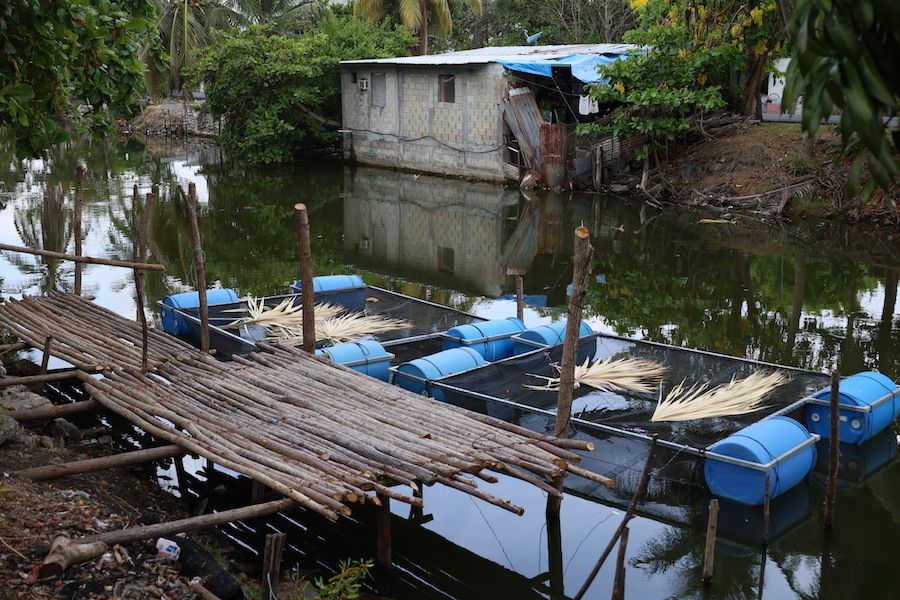 Pescando vida, un programa de Tabasco en el que los pescadores no son la prioridad