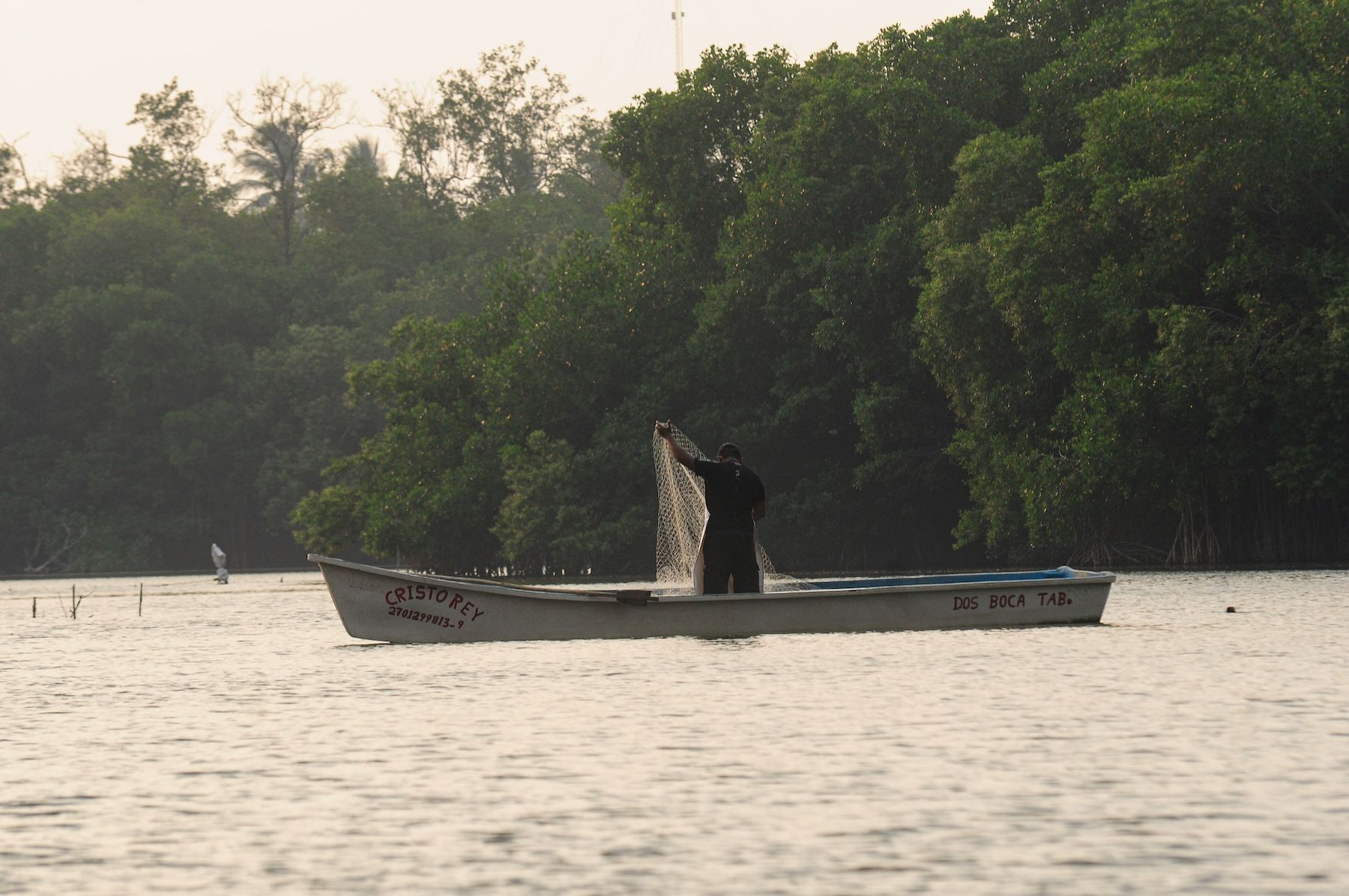 Tabasco: ante los impactos del petróleo en el mar, pescadores son compensados con la siembra de tilapias, una especie considerada invasora
