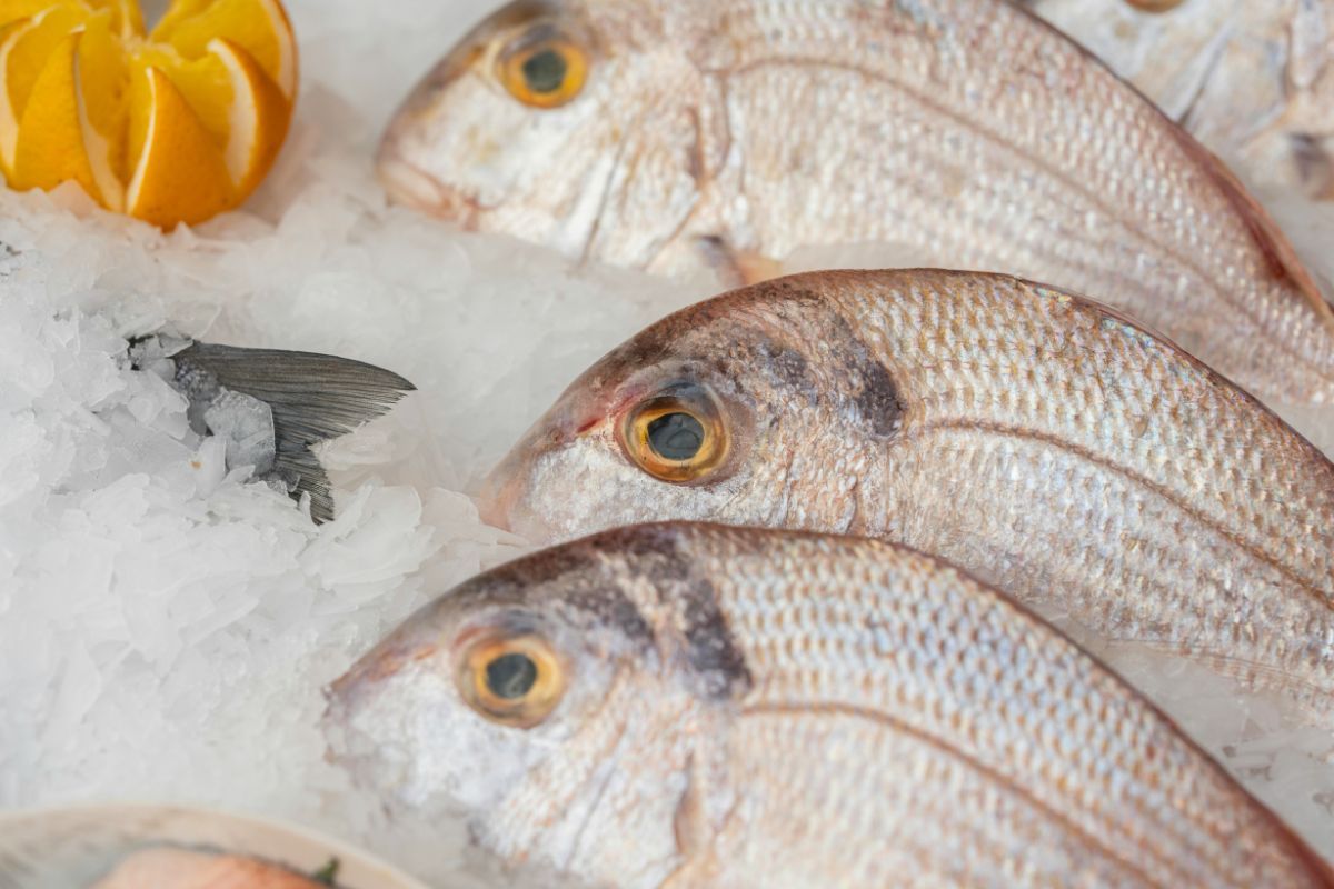 Retos de los supermercados para abastecerse de pescado sostenible y local