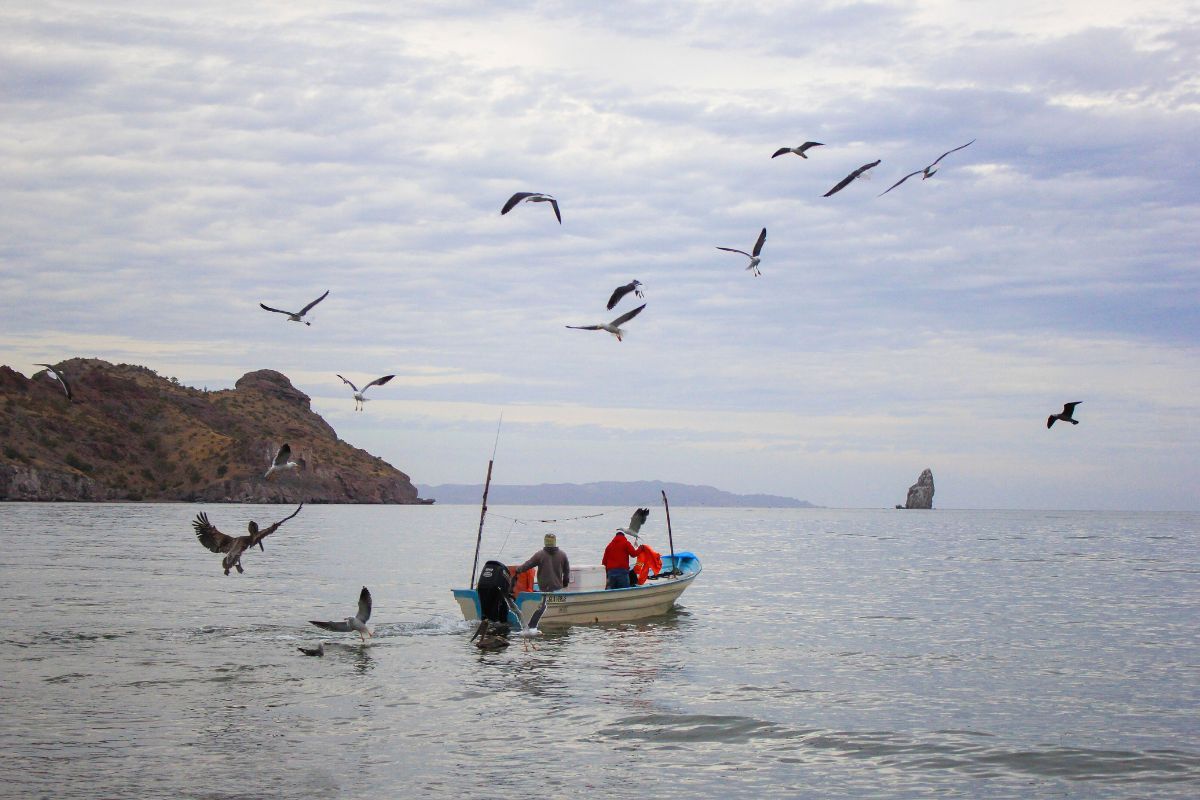 ¿Un paso hacia la justicia social? México incorporará las pérdidas y daños en sus nuevos compromisos climáticos