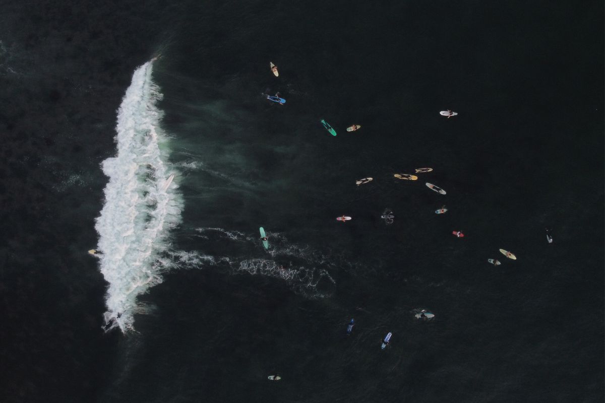 Surf en extinción: en Ensenada luchan contra la expansión del puerto El Sauzal