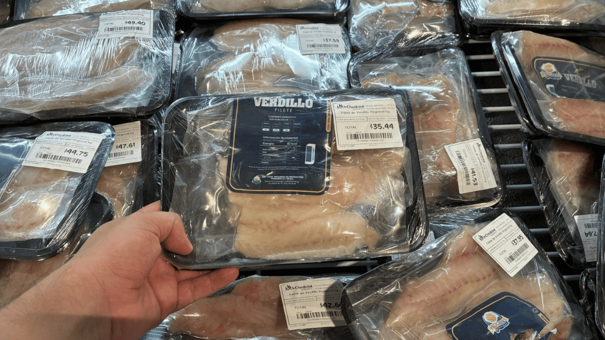 De La Bocana a Chedraui: cómo una cooperativa pesquera escaló sus estándares de producción