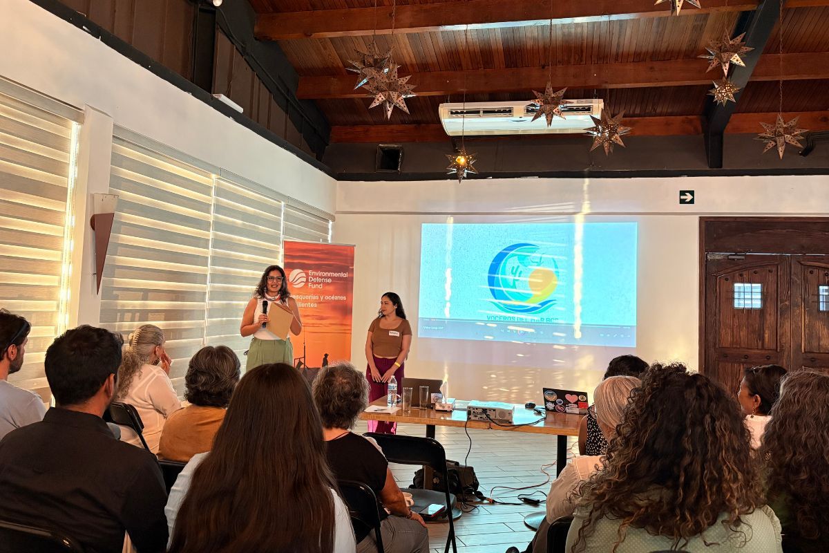 Voceros del Mar: un programa para proteger y restaurar las comunidades costeras de Baja California Sur