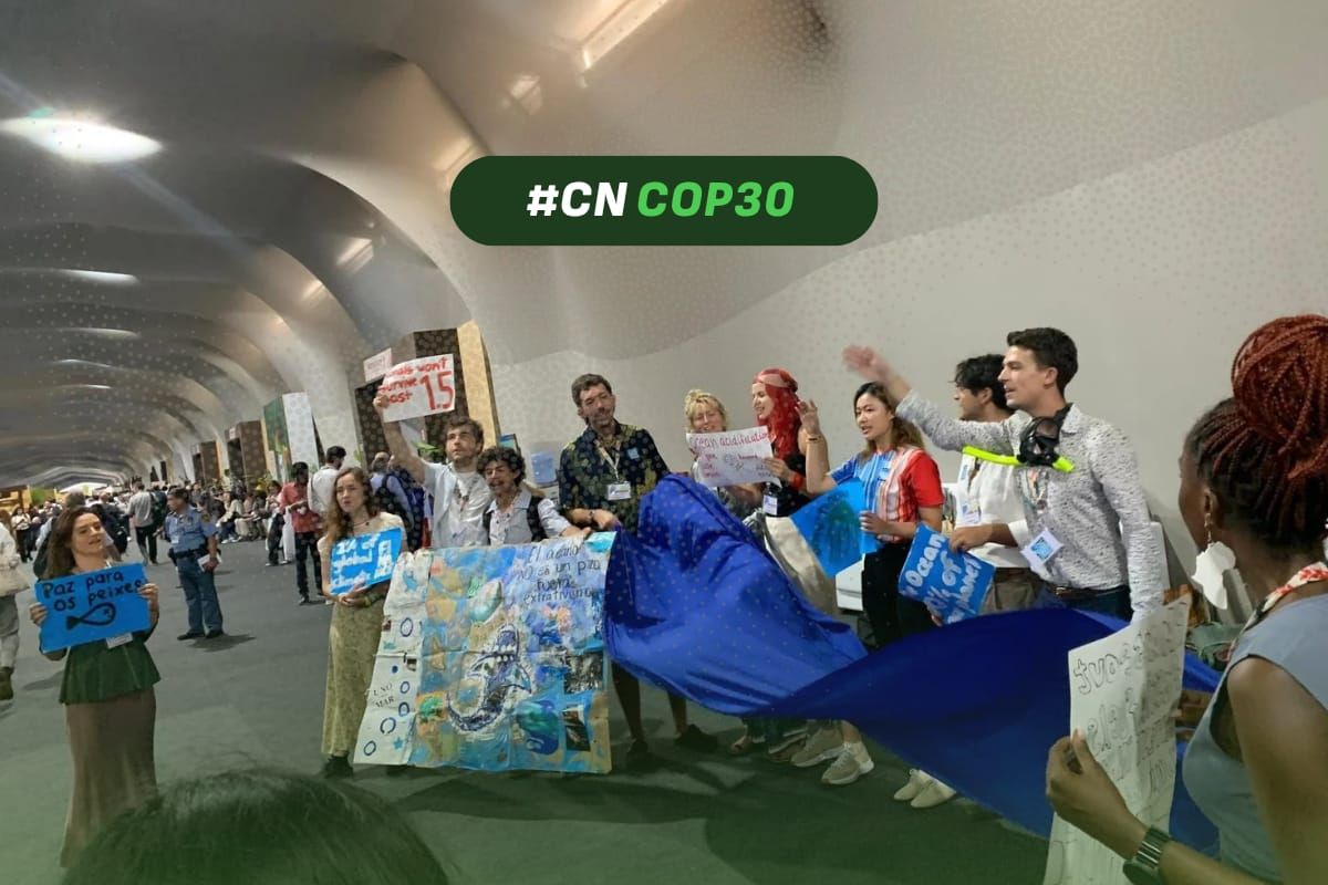 Los océanos se fortalecen como solución ante el cambio climático en la COP30