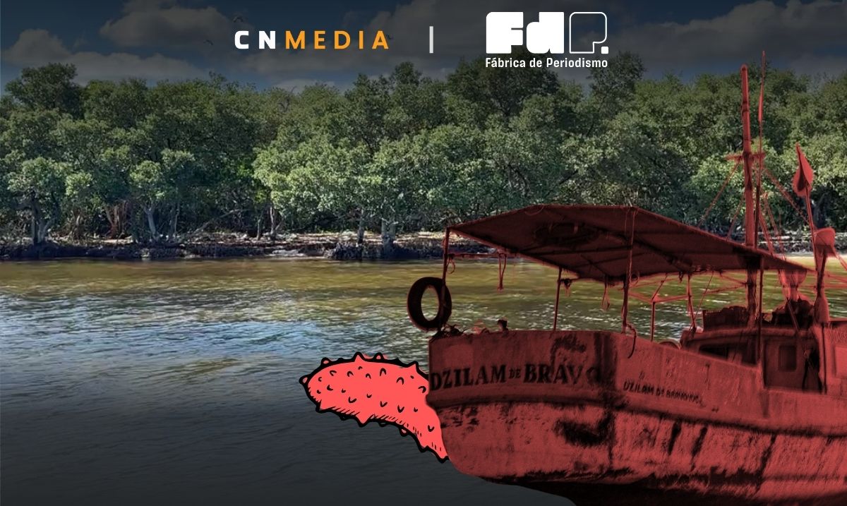 Mafia, pepino de mar y desapariciones en Dzilam de Bravo, Yucatán: "Cuando abran los ojos, ya tendremos al narco al lado"